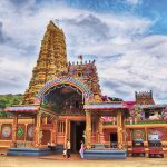 காஷாவில் அமுலாகியுள்ள யுத்த நிறுத்தம் தொடர்ந்தும் நீடிக்குமென உறுதியாகியுள்ளது